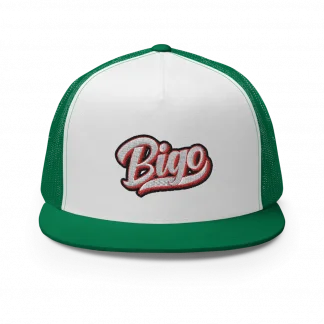 Gorra plana trucker University